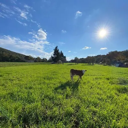 Patara Plaji Ve Patara Antik Kentin Yaninda Hotel Kaş