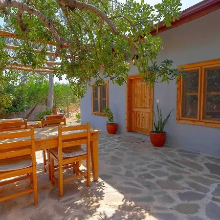 Patara Plaji Ve Patara Antik Kentin Yaninda